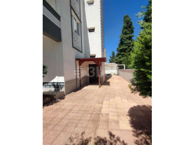 WhatsApp Image 2023-05-31 at 10.33.43.jpeg